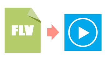 Invertir Bermad Retorcido Can Windows Media Player Play FLV Files?